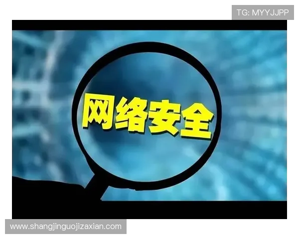 安全可靠的PG下载平台，保障用户隐私与账号安全的最佳选择指南