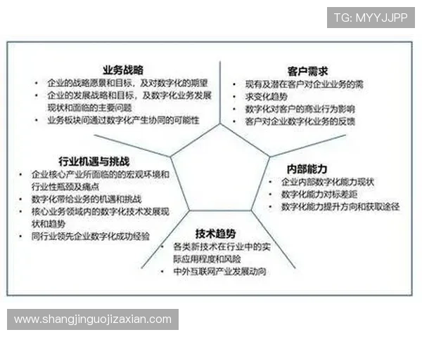 探索最新的PG娱乐地址平台有哪些，用户选择的关键因素分析