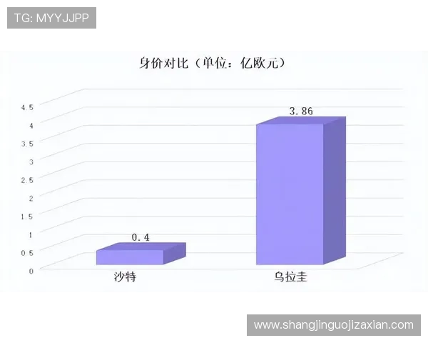 世界杯沙特乌拉圭球队身价变化趋势：从历史到现状的全面分析与预测